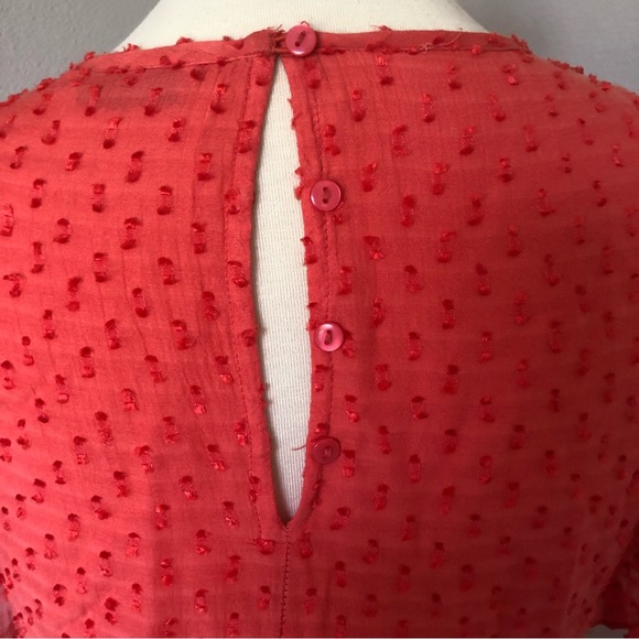 🍑ANTHROPOLOGIE x Ranna Gill Basilia embroidered tunic swiss dot shift dress🍑 - Picture 7 of 9